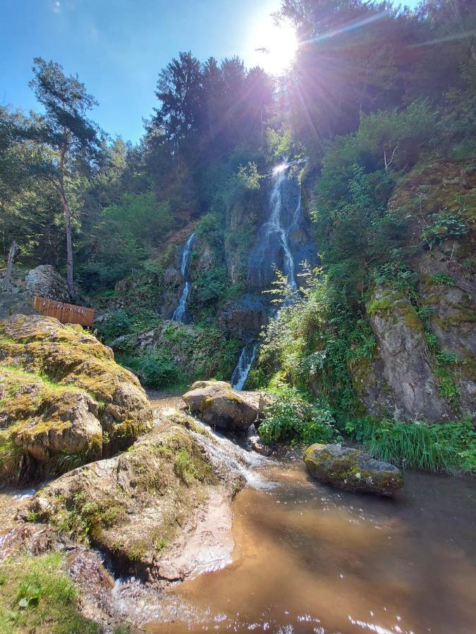 B&B Margit'S Ranch Urlaub Am Pferdehof Silz Exteriér fotografie